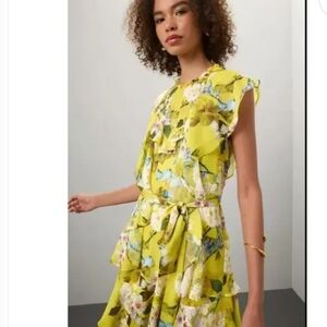 Marissa Webb Chiffon Floral Ruffle Mini Dress Size 4